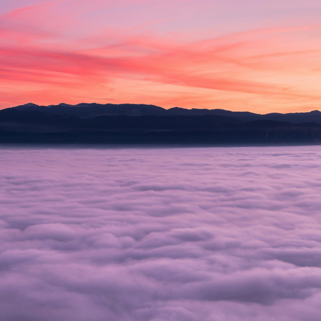 Navulling - Mystic Grove